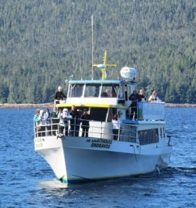 Boatloads of tourists came by the necropsy site, offering the visitors a chance for a unique Alaska photograph.