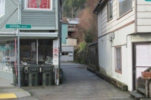 Also Thursday, the Council unanimously agreed to authorize $25,000 to move forward with Phase II of the long-planned Hopkins Alley revitalization project.