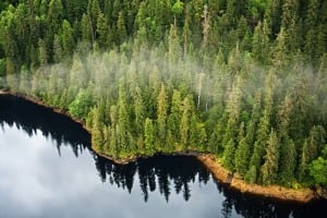 Lawmakers have voiced support for the Parnell Administration's plan to take over Tongass National Forest acreage. (Courtesy USDA)