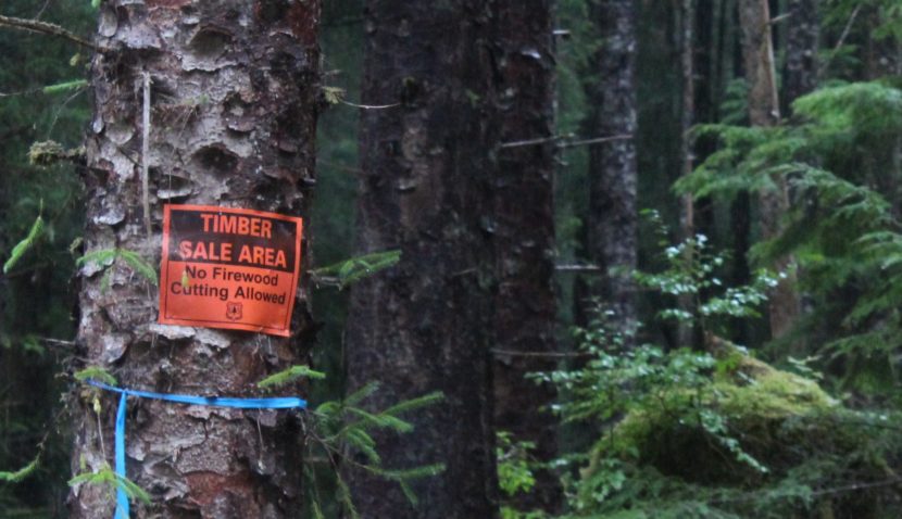 State challenges national forest roadless rule again