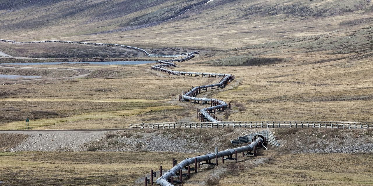 State Economist says global spike in oil prices not likely to affect price forecast