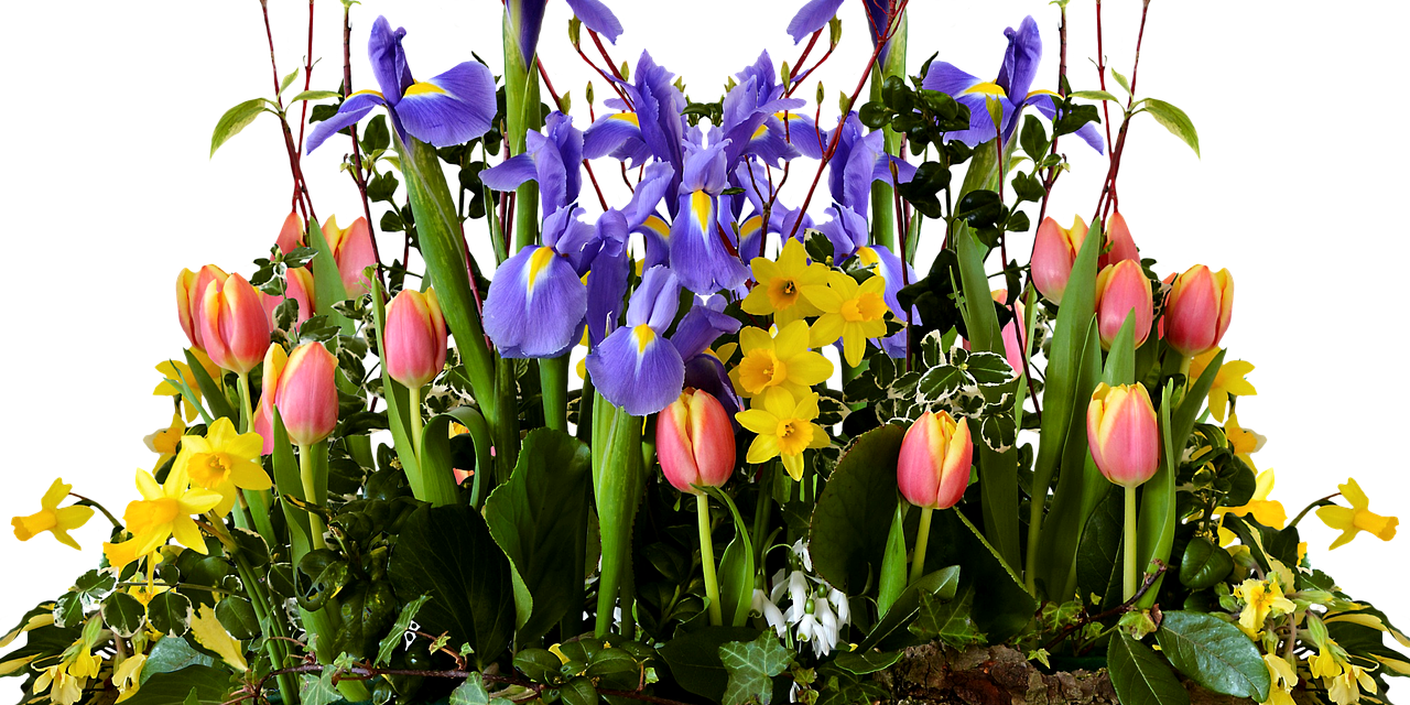 Time to clean garden tools and containers
